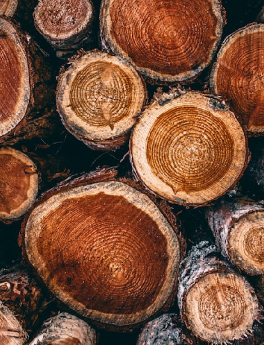 Luxurious Teak | Rich Woody Luxury Wood Collection