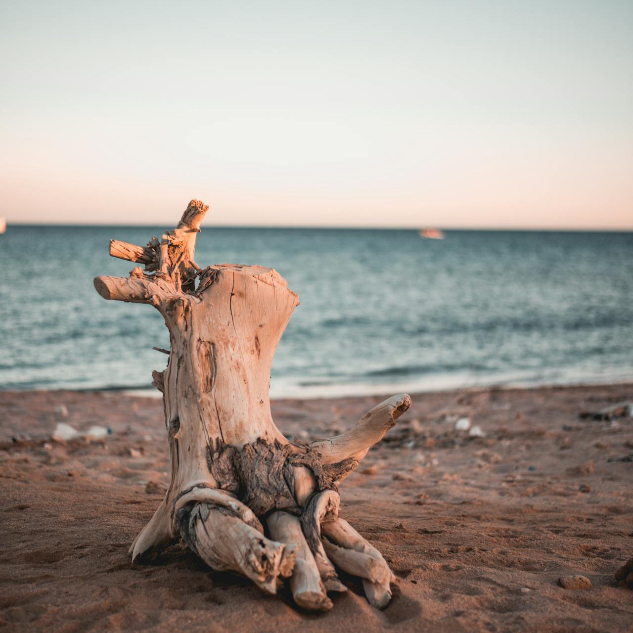 Amber Driftwood 4oz Room Spray