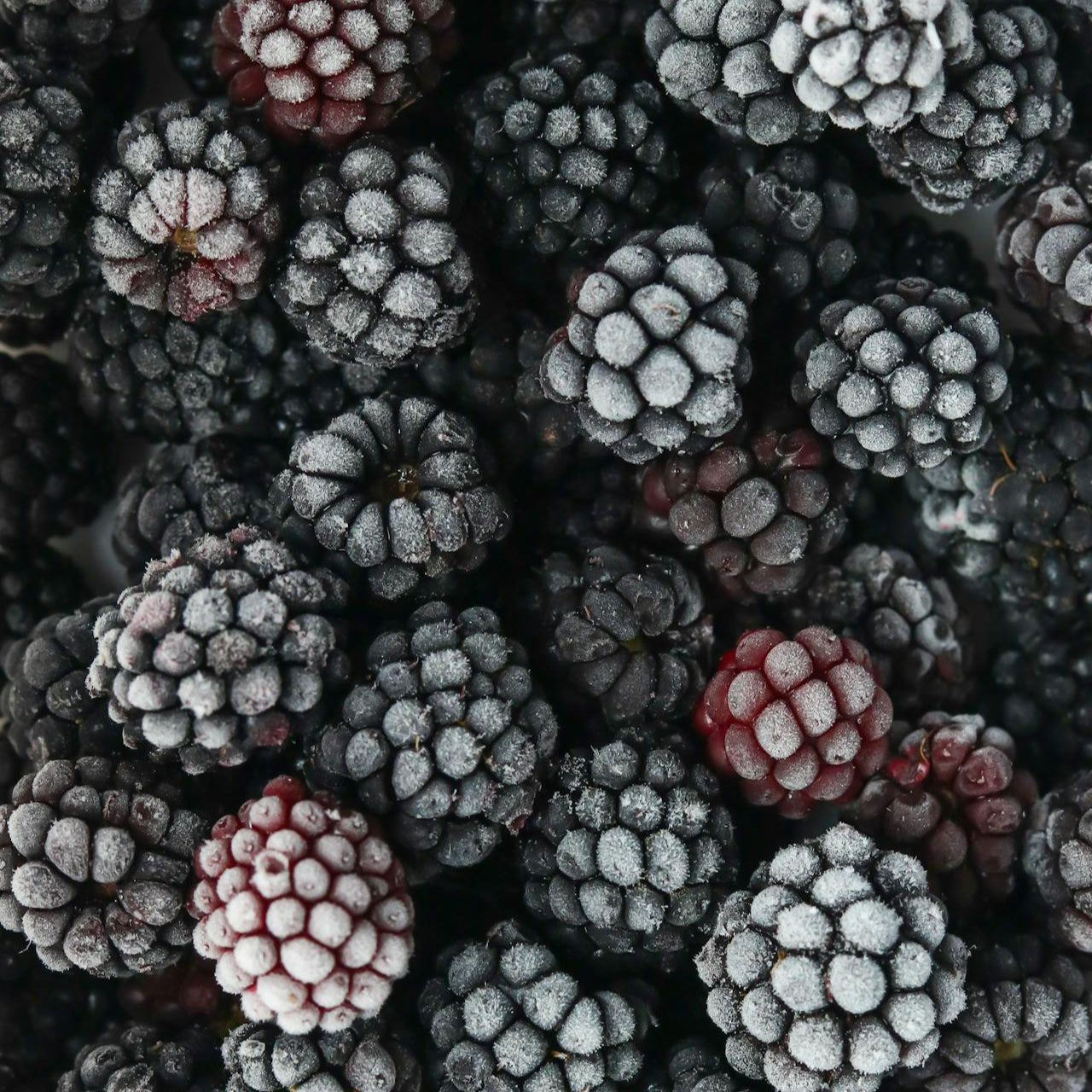 Sage & Blackberry 100% Soy Candle
